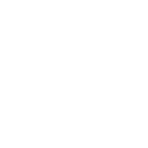 Requirements Icon